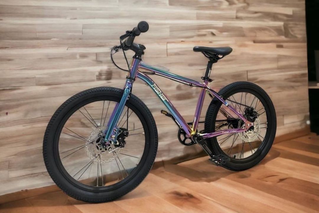 Fisher Rider 20" Painted Disc Brake Kids Bike 28GOODS