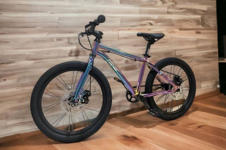 Fisher Rider 20" Painted Disc Brake Kids Bike 28GOODS