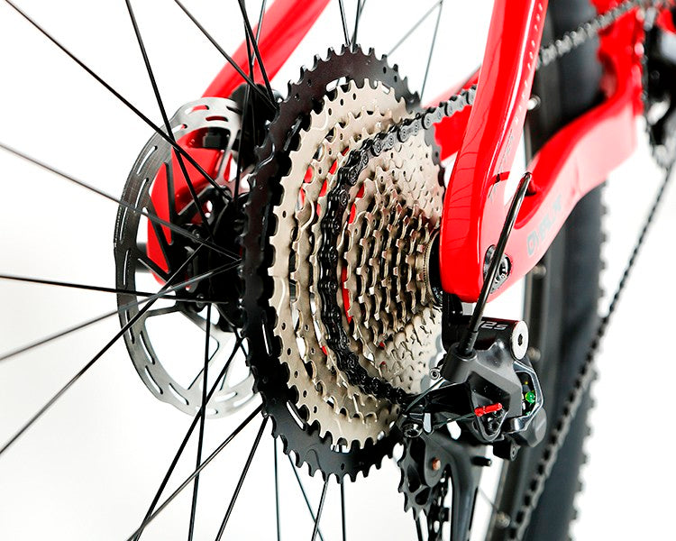Twitter OVERLORD【Carbon fiber】Mountain Bike 28GOODS