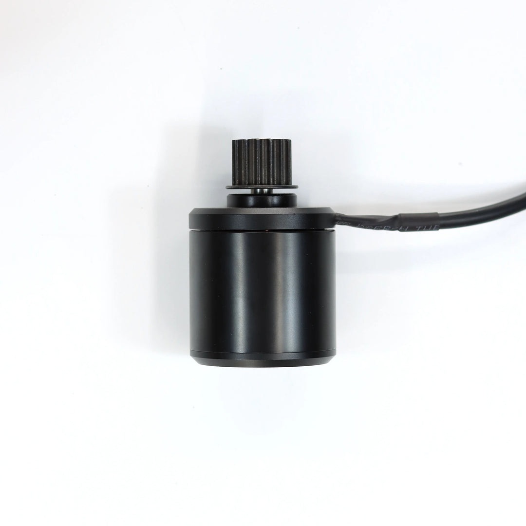 Backfire Motor 28GOODS