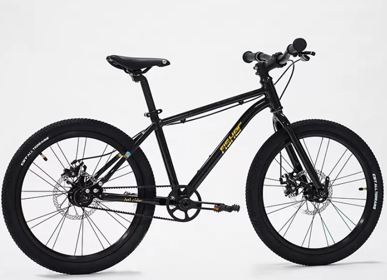 Fisher Rider 20" Painted Disc Brake Kids Bike 28GOODS