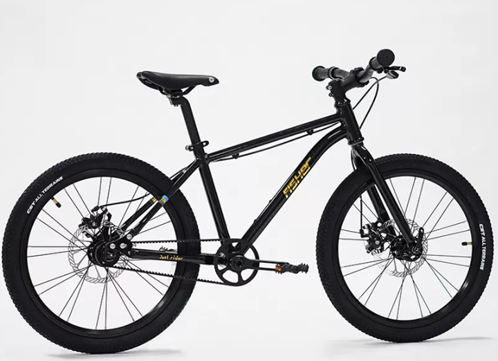 Fisher Rider 20" Painted Disc Brake Kids Bike 28GOODS