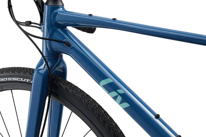 LIV 2022 DEVOTE 1 ROAD BIKE 28GOODS