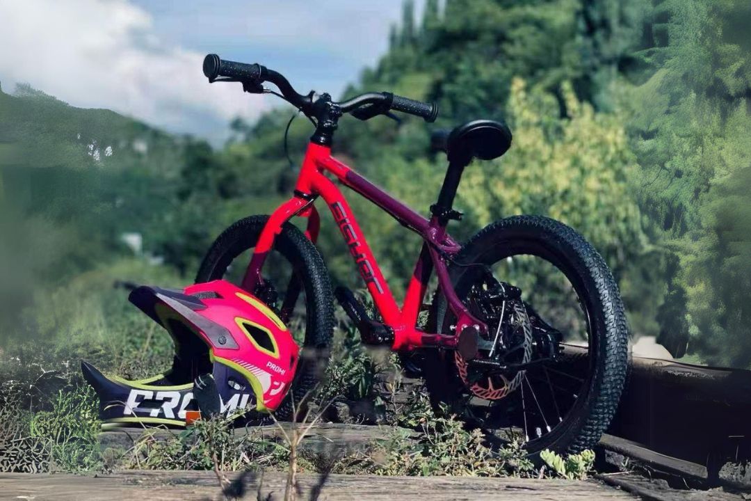 Fisher Rider 16" Disc Brake Kids Bike 28GOODS