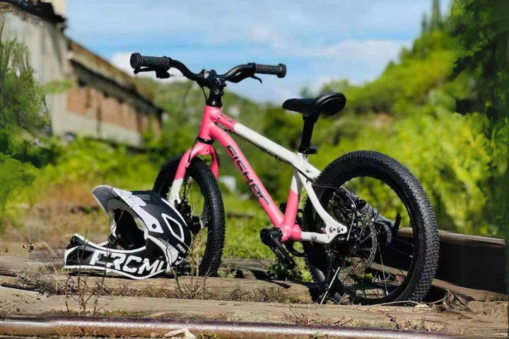 Fisher Rider 20" 9 Speed with Oil Disc Brake Kids Bike 28GOODS