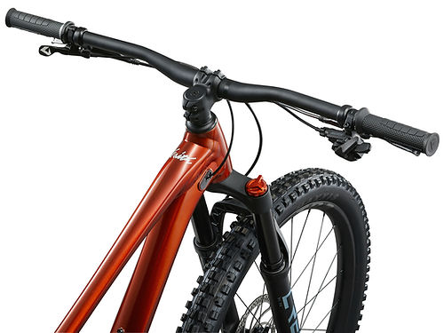 2025 GIANT FAITH 26 MOUNTAIN BIKE 28GOODS