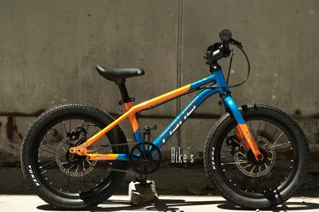 Fisher Rider 16" Disc Brake Kids Bike 28GOODS