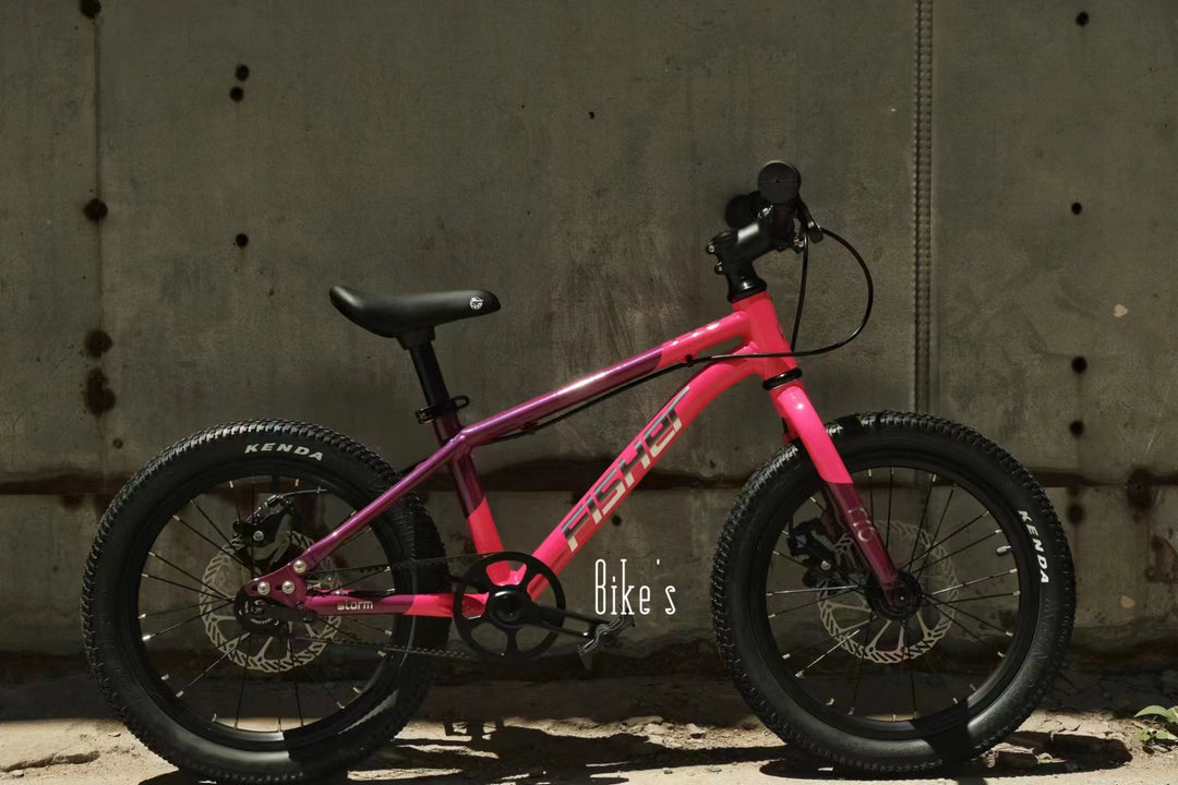 Fisher Rider 16" Disc Brake Kids Bike 28GOODS