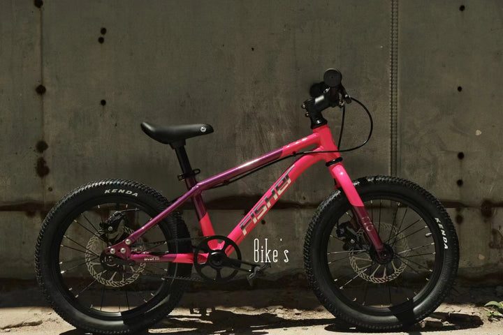 Fisher Rider 16" Disc Brake Kids Bike 28GOODS