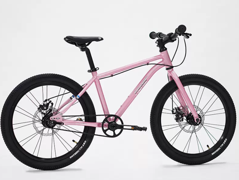 Fisher Rider 20" Painted Disc Brake Kids Bike 28GOODS