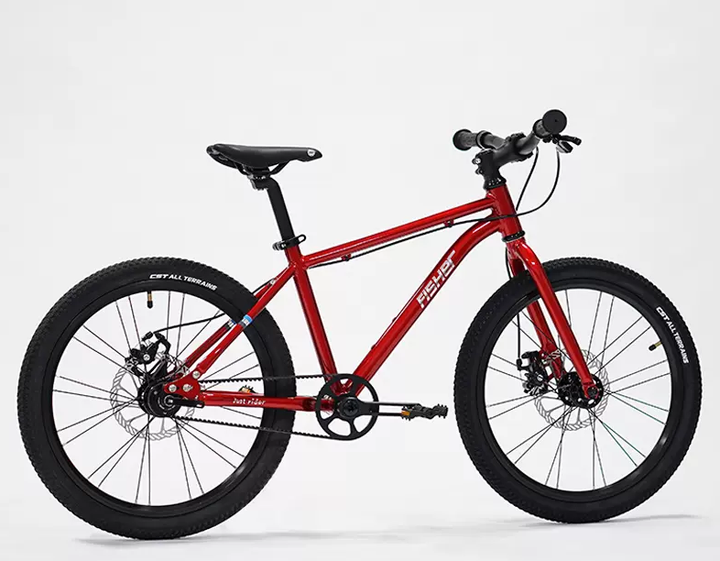 Fisher Rider 20" Painted Disc Brake Kids Bike 28GOODS